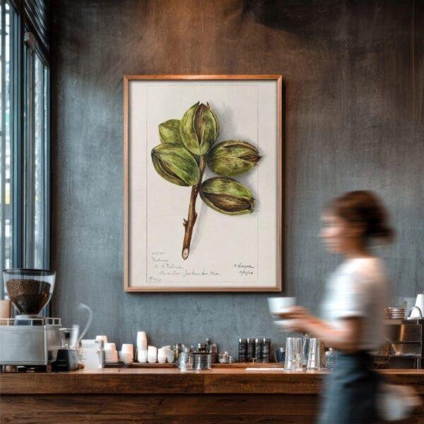 Country Life Educational Poster - Hickory, Watercolor Painting, Smooth Matte Art Print