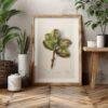 Country Life Educational Poster - Hickory, Watercolor Painting, Smooth Matte Art Print