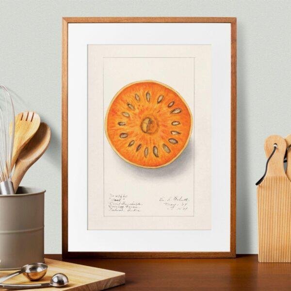 Country Life Educational Poster - Bael, Watercolor Painting, Smooth Matte Art Print