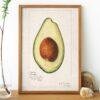 Country Life Educational Poster - Avocado, Watercolor Painting, Smooth Matte Art Print