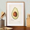 Country Life Educational Poster - Avocado, Watercolor Painting, Smooth Matte Art Print