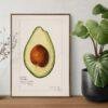 Country Life Educational Poster - Avocado, Watercolor Painting, Smooth Matte Art Print