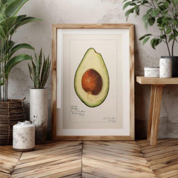 Country Life Educational Poster - Avocado, Watercolor Painting, Smooth Matte Art Print