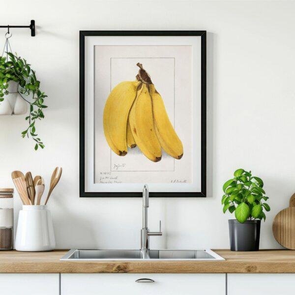 Country Life Educational Poster - Bananas, Watercolor Painting, Smooth Matte Art Print