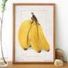 Country Life Educational Poster - Bananas, Watercolor Painting, Smooth Matte Art Print