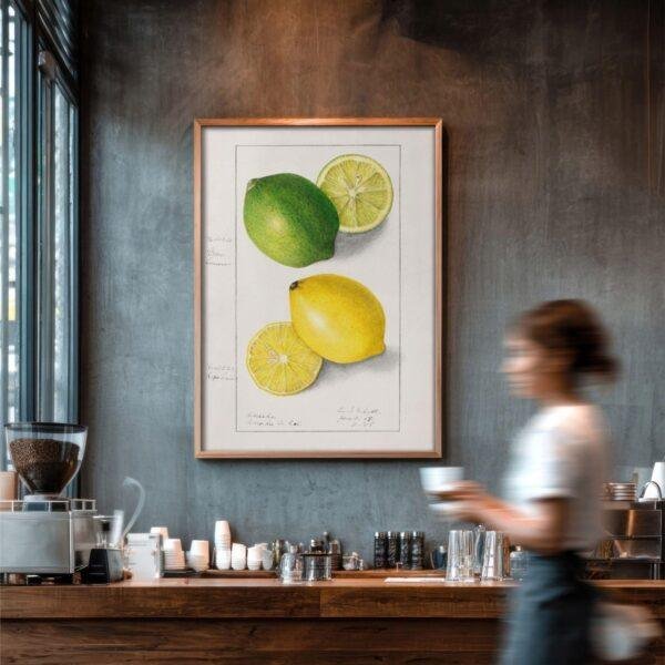 Country Life Educational Poster - Lemon, Watercolor Painting, Smooth Matte Art Print
