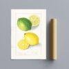 Country Life Educational Poster - Lemon, Watercolor Painting, Smooth Matte Art Print