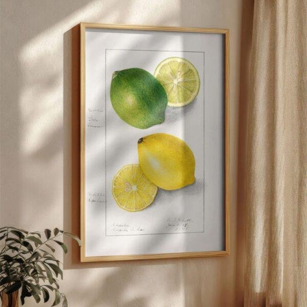 Country Life Educational Poster - Lemon, Watercolor Painting, Smooth Matte Art Print