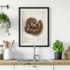 Country Life Educational Poster - Chestnut, Watercolor Painting, Smooth Matte Art Print