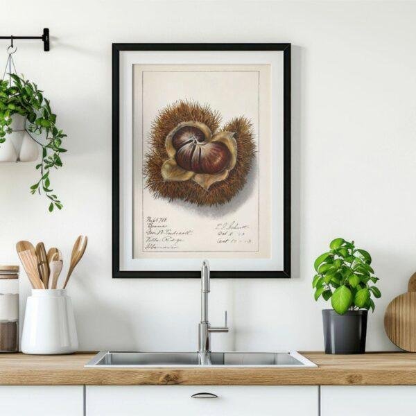 Country Life Educational Poster - Chestnut, Watercolor Painting, Smooth Matte Art Print