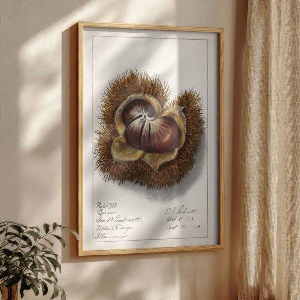 Country Life Educational Poster - Chestnut, Watercolor Painting, Smooth Matte Art Print