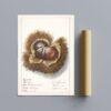 Country Life Educational Poster - Chestnut, Watercolor Painting, Smooth Matte Art Print