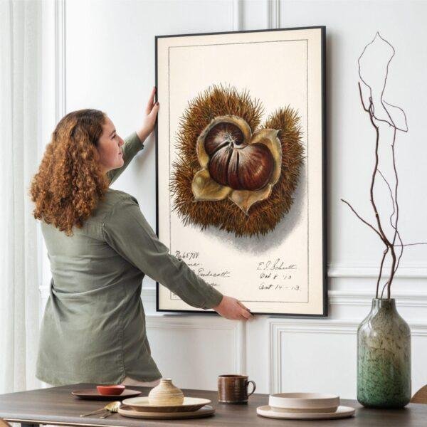 Country Life Educational Poster - Chestnut, Watercolor Painting, Smooth Matte Art Print