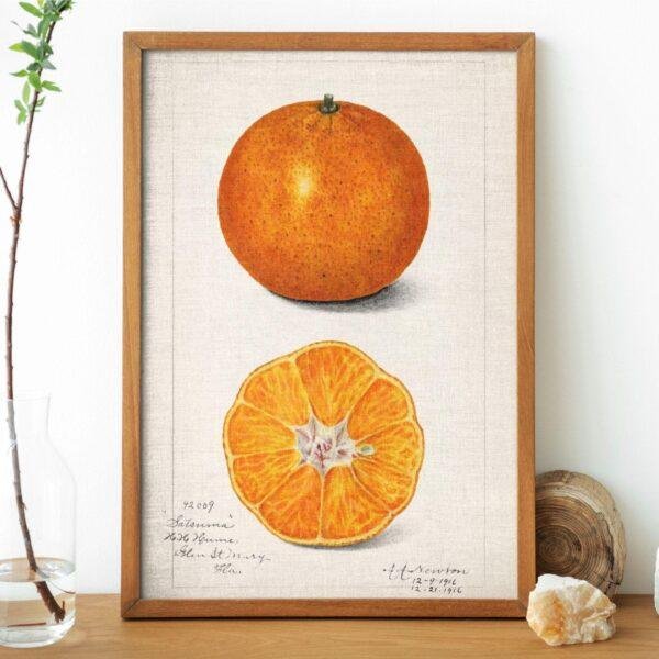 Country Life Educational Poster - Orange, Watercolor Painting, Smooth Matte Art Print