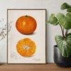 Country Life Educational Poster - Orange, Watercolor Painting, Smooth Matte Art Print