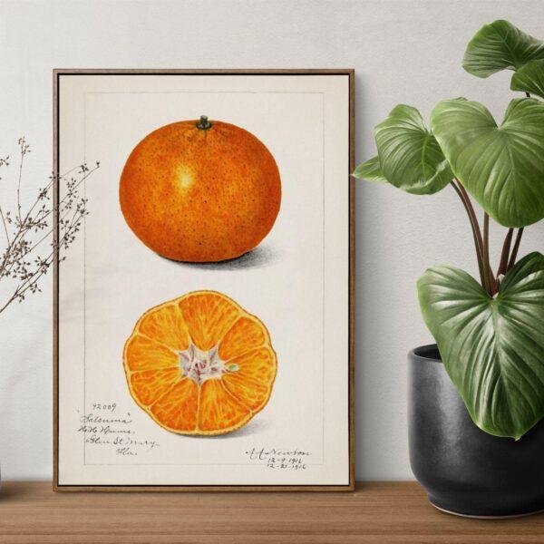 Country Life Educational Poster - Orange, Watercolor Painting, Smooth Matte Art Print