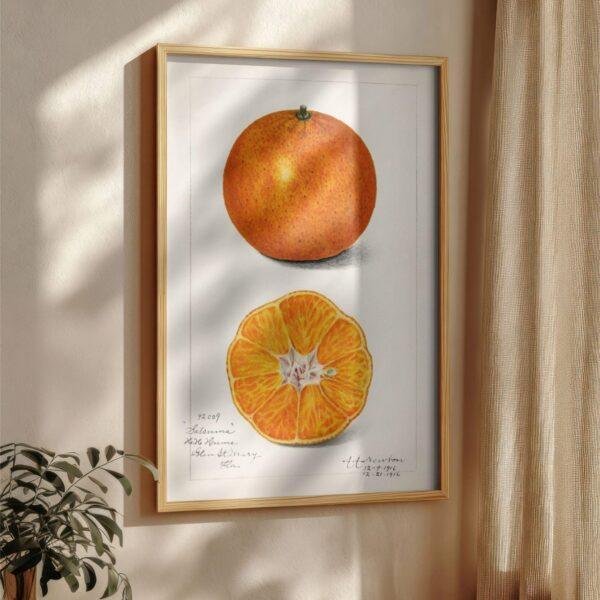 Country Life Educational Poster - Orange, Watercolor Painting, Smooth Matte Art Print
