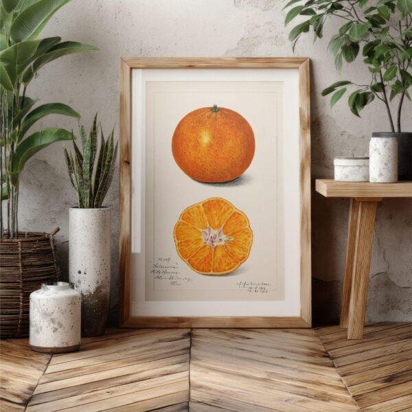 Country Life Educational Poster - Orange, Watercolor Painting, Smooth Matte Art Print