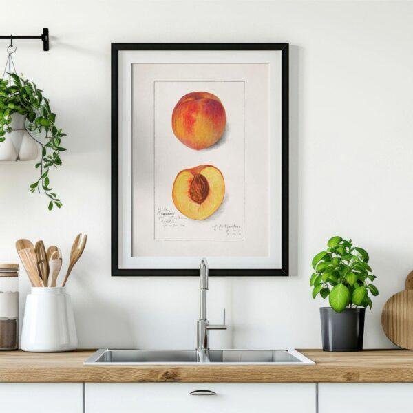 Country Life Educational Poster - Peach, Watercolor Painting, Smooth Matte Art Print
