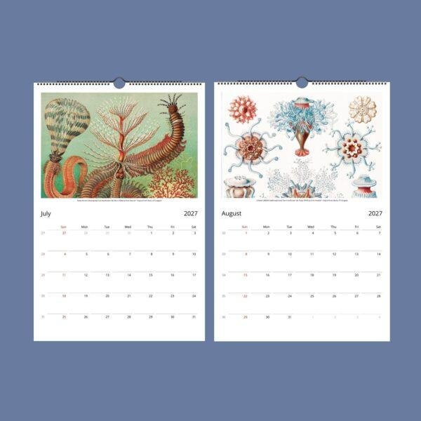 Ernst Haeckel Wall Calendar