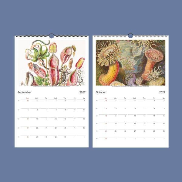 Ernst Haeckel Wall Calendar