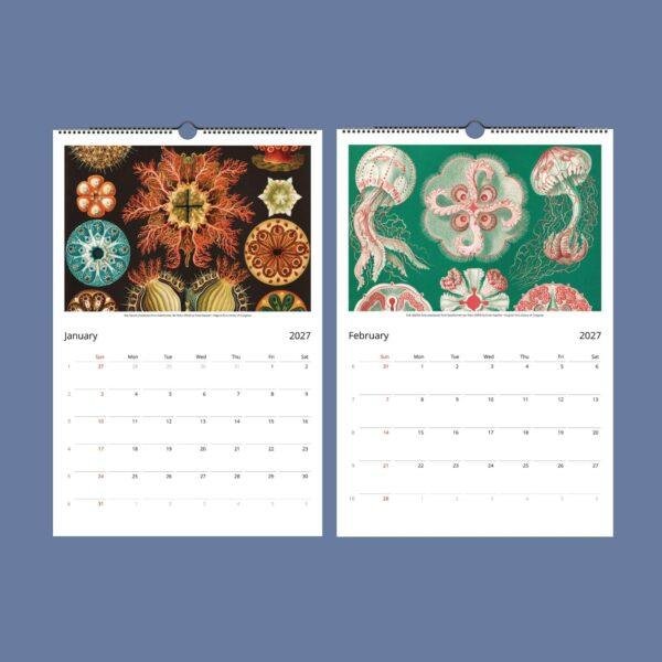 Ernst Haeckel Wall Calendar