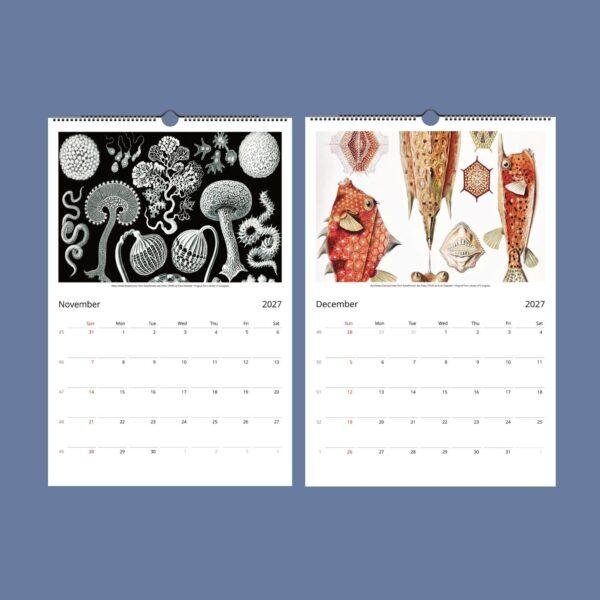 Ernst Haeckel Wall Calendar