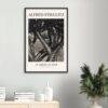 Alfred Stieglitz - Dancing Trees, Analog Photography, Matte Paper Poster
