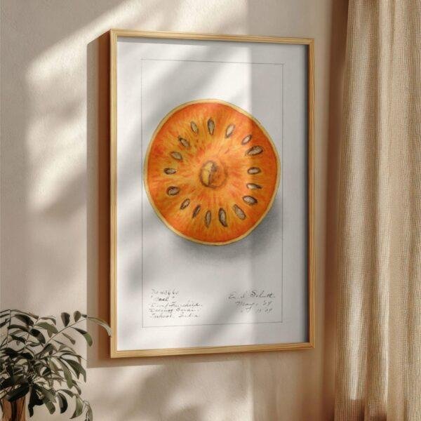 Country Life Educational Poster - Bael, Watercolor Painting, Smooth Matte Art Print