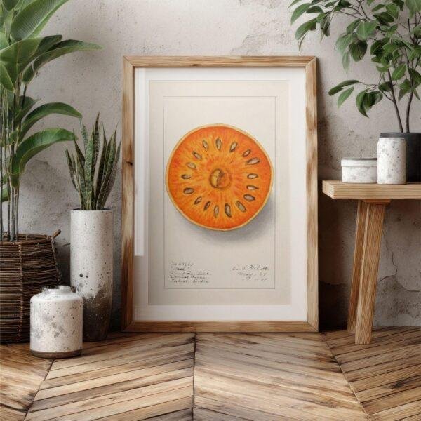 Country Life Educational Poster - Bael, Watercolor Painting, Smooth Matte Art Print
