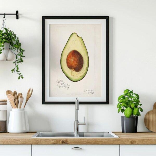 Country Life Educational Poster - Avocado, Watercolor Painting, Smooth Matte Art Print