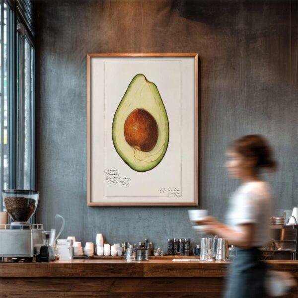 Country Life Educational Poster - Avocado, Watercolor Painting, Smooth Matte Art Print