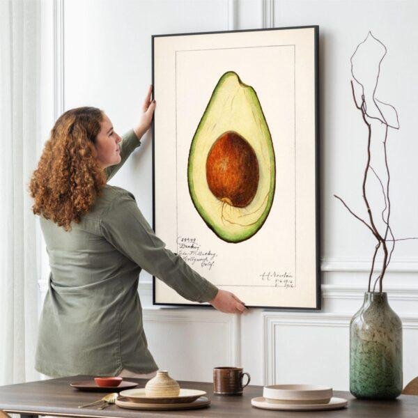 Country Life Educational Poster - Avocado, Watercolor Painting, Smooth Matte Art Print