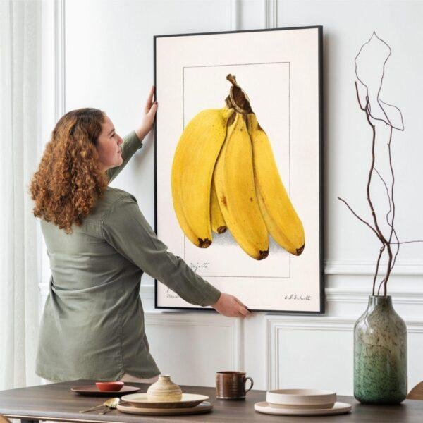 Country Life Educational Poster - Bananas, Watercolor Painting, Smooth Matte Art Print