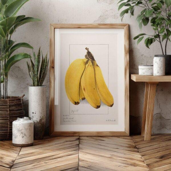Country Life Educational Poster - Bananas, Watercolor Painting, Smooth Matte Art Print