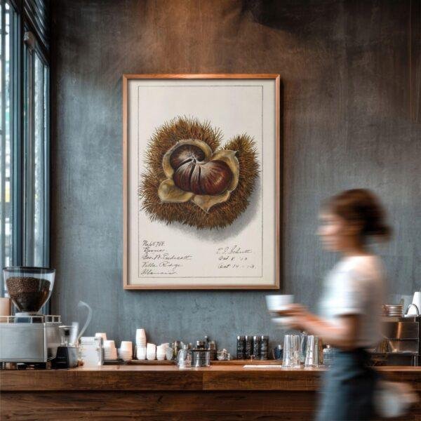 Country Life Educational Poster - Chestnut, Watercolor Painting, Smooth Matte Art Print
