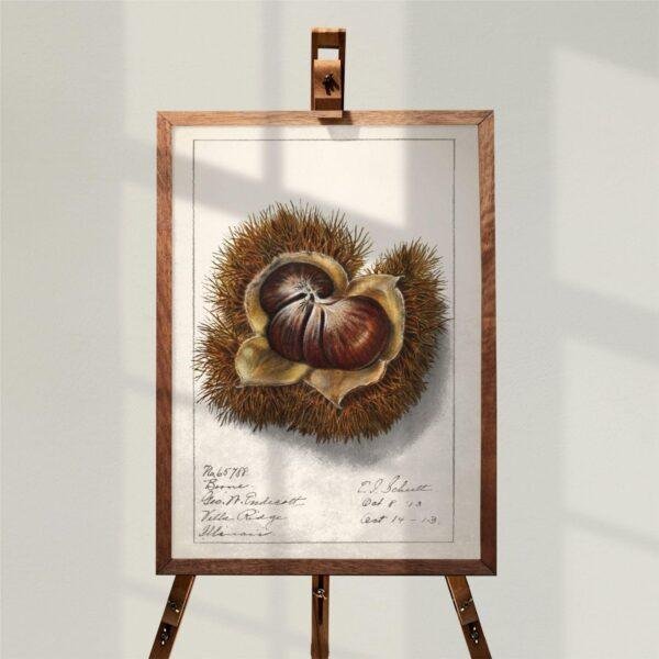 Country Life Educational Poster - Chestnut, Watercolor Painting, Smooth Matte Art Print