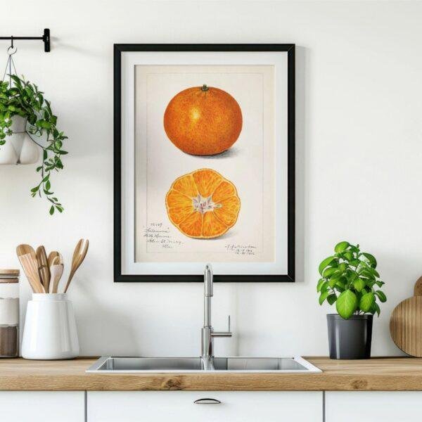 Country Life Educational Poster - Orange, Watercolor Painting, Smooth Matte Art Print