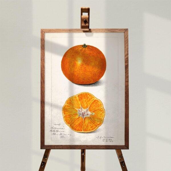 Country Life Educational Poster - Orange, Watercolor Painting, Smooth Matte Art Print