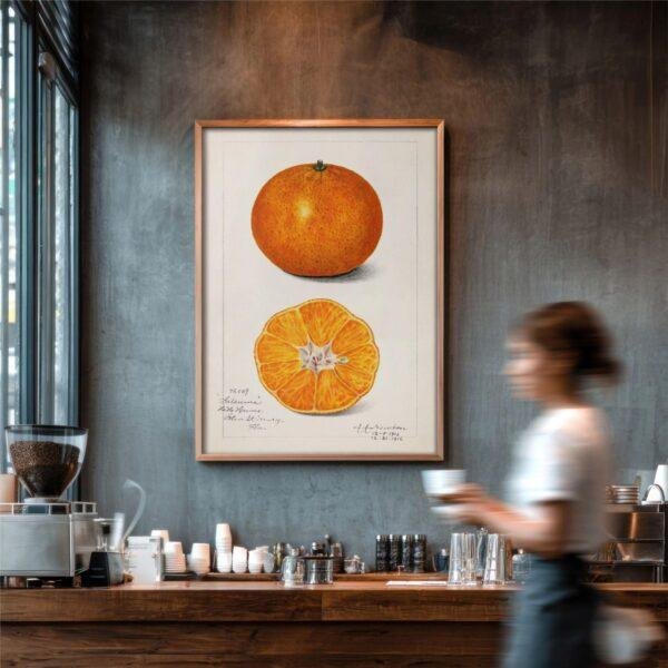 Country Life Educational Poster - Orange, Watercolor Painting, Smooth Matte Art Print