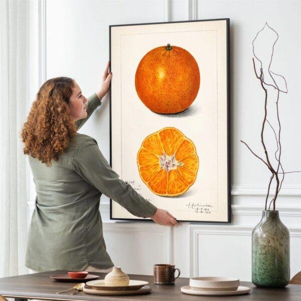 Country Life Educational Poster - Orange, Watercolor Painting, Smooth Matte Art Print