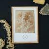 William Henry Fox Talbot - Sisymbrium Cumingianum, Vintage Photos, Smooth Matte Art Print