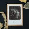William Henry Fox Talbot - Wild Fennel, Vintage Photos, Smooth Matte Art Print