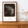 William Henry Fox Talbot - Wild Fennel, Vintage Photos, Smooth Matte Art Print