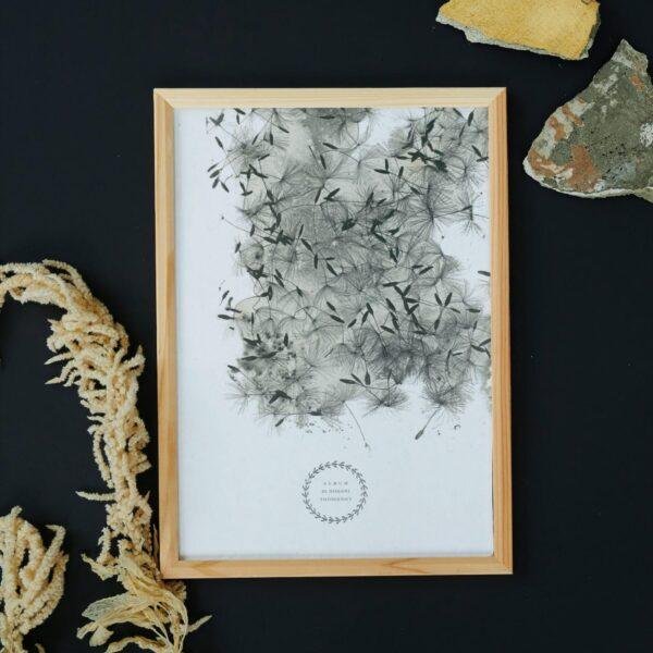 William Henry Fox Talbot - Dandelion Seeds, Vintage Photos, Smooth Matte Art Print