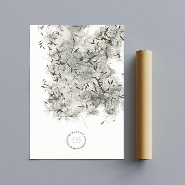 William Henry Fox Talbot - Dandelion Seeds, Vintage Photos, Smooth Matte Art Print