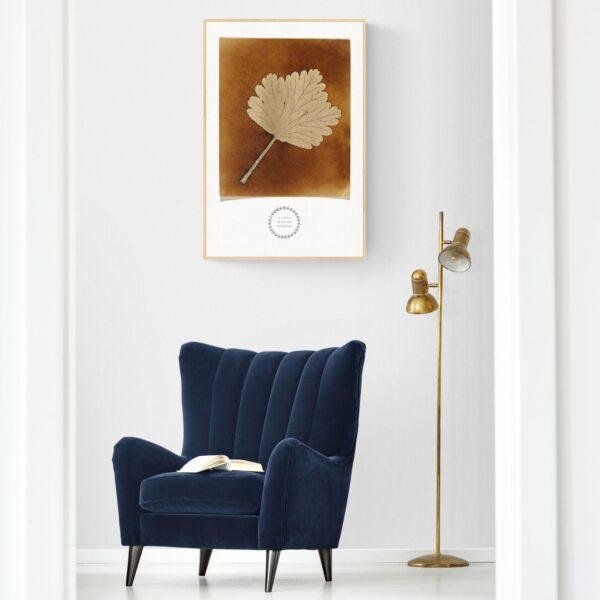 William Henry Fox Talbot - Leaf, Vintage Photos, Smooth Matte Art Print