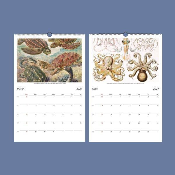 Ernst Haeckel Wall Calendar