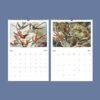 Ernst Haeckel Wall Calendar