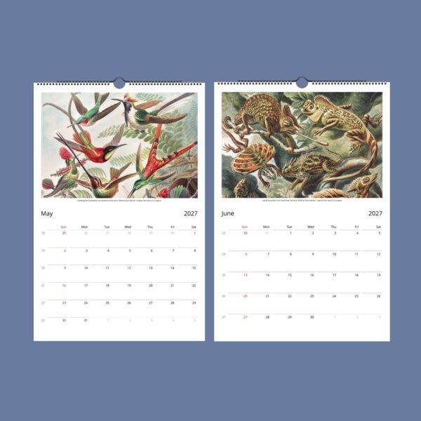 Ernst Haeckel Wall Calendar